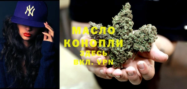 эйфоретик Няндома