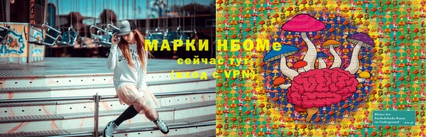 эйфоретик Няндома