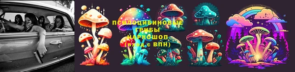 трава Осташков