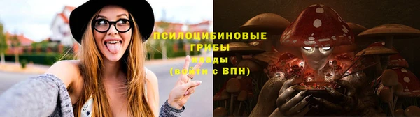 эйфоретик Няндома