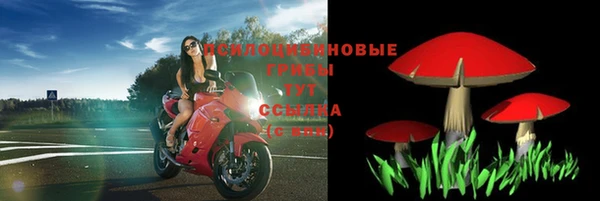 трава Осташков