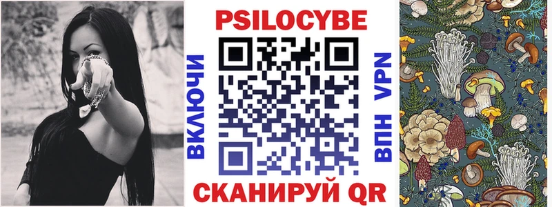 Псилоцибиновые грибы Psilocybine cubensis  Серафимович 