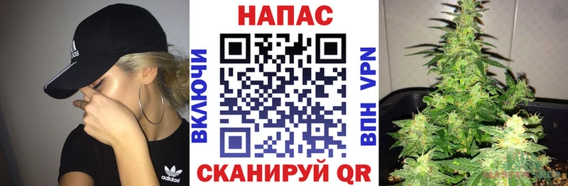 Бошки Шишки Amnesia где можно купить Серафимович